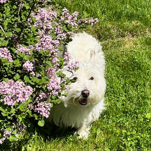 Meet your Posher, Natalie - Picture 2 of 2